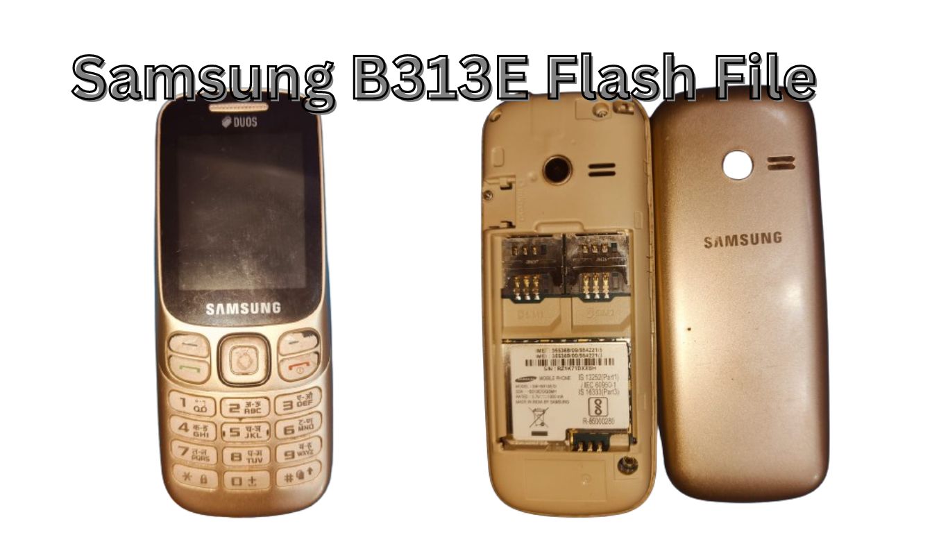 Samsung B313E Flash File